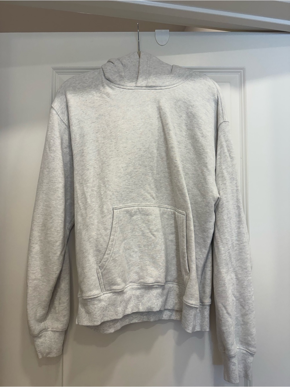 Aritzia “Cozy Sweatfleece” Hoodie